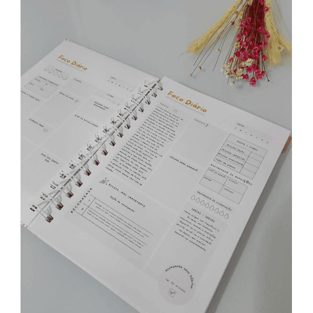 Arquivo Planner sem Caos - TDAH Arquivo em Pdf #3577 2