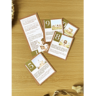 Caça ao tesouro Páscoa O Caminho da Vida Cristo Vive Arquivo em Pdf  7