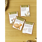 Caça ao tesouro Páscoa O Caminho da Vida Cristo Vive Arquivo em Pdf  13