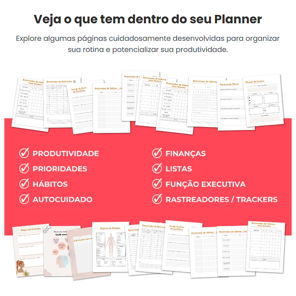 Arquivo Planner sem Caos - TDAH Arquivo em Pdf Para Impressão 12