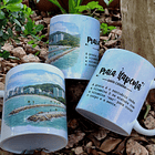 5 Artes para Caneca Praia Santa Catarina Arquivo em Png 1