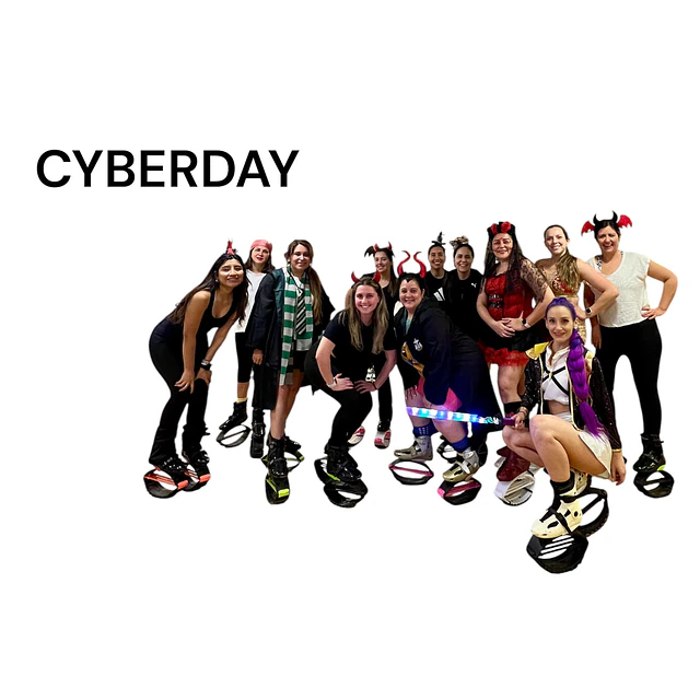 2X ANUAL CYBER