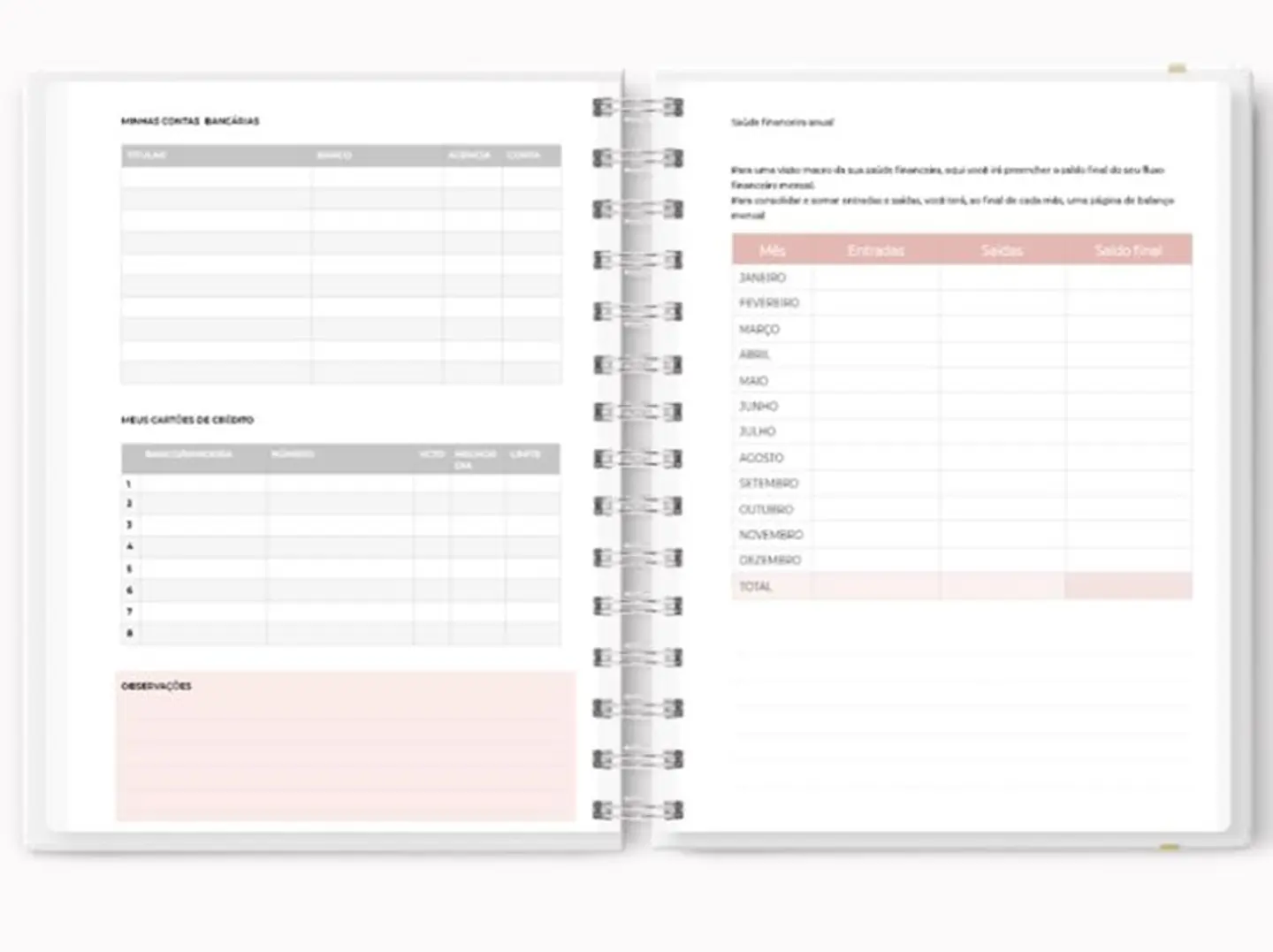 Planner Controle Financeiro Permanente Arquivo em Pdf 1