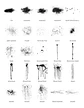 400 Brushes e Lens para Photoshop - Thumbnail 2
