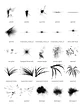400 Brushes e Lens para Photoshop - Thumbnail 3