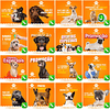 100 Artes Mídias Sociais Pet Shop Editáveis Corel Draw