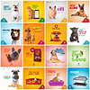 50 Artes Mídias Sociais Petshop Pet Shop Editáveis Photoshop + Png