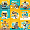 24 Artes Mídias Sociais Pet Shop Petshop Editáveis Photoshop + Png