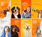 36 Artes Mídias Sociais Petshop Pet Shop Editáveis Photoshop + Png - thumbnail 2