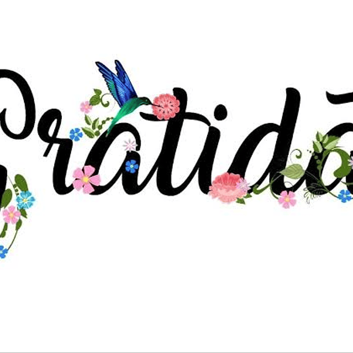 Alfabeto Floral Png Donwload Baixar Grátis 6