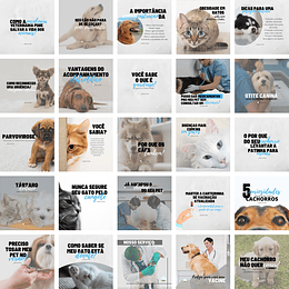 Pack Canva Veterinário Pet Shop Petshop 2.0 Templates Editáveis 25 Artes + Bônus