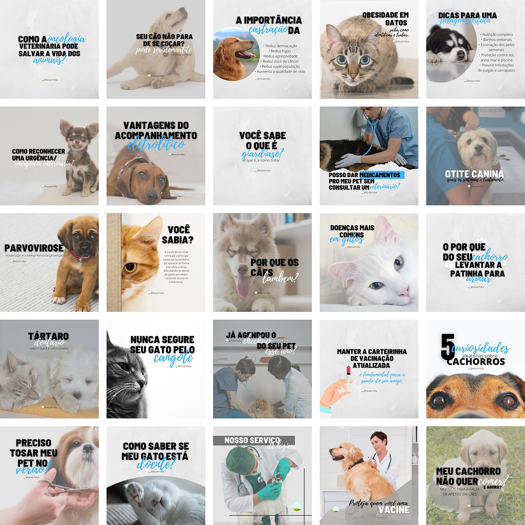 Pack Canva Veterinário Pet Shop Petshop 2.0 Templates Editáveis 25 Artes + Bônus 1