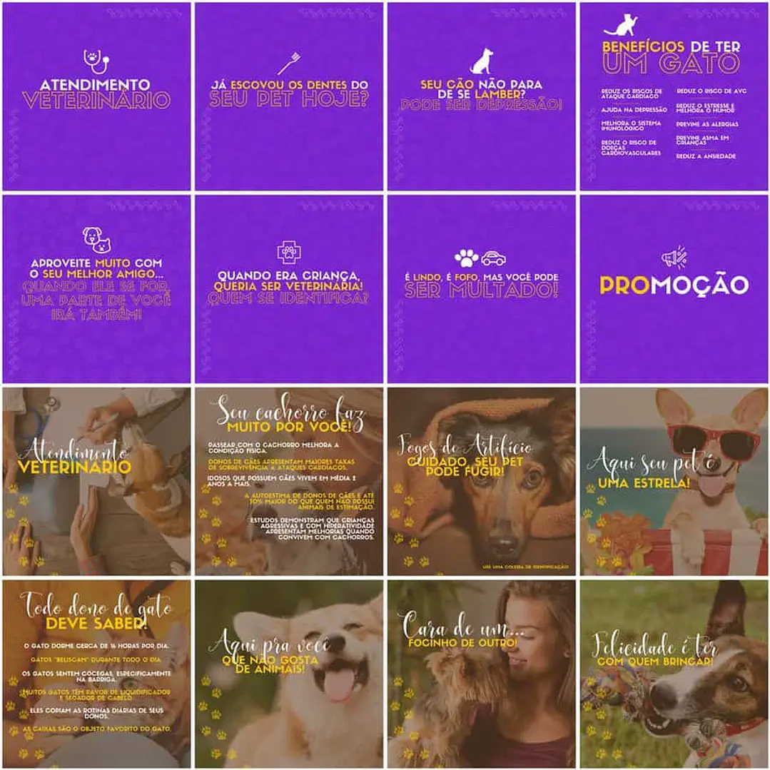 Pack Canva Pet Shop Templates Editáveis 200 Artes + Legendas 9