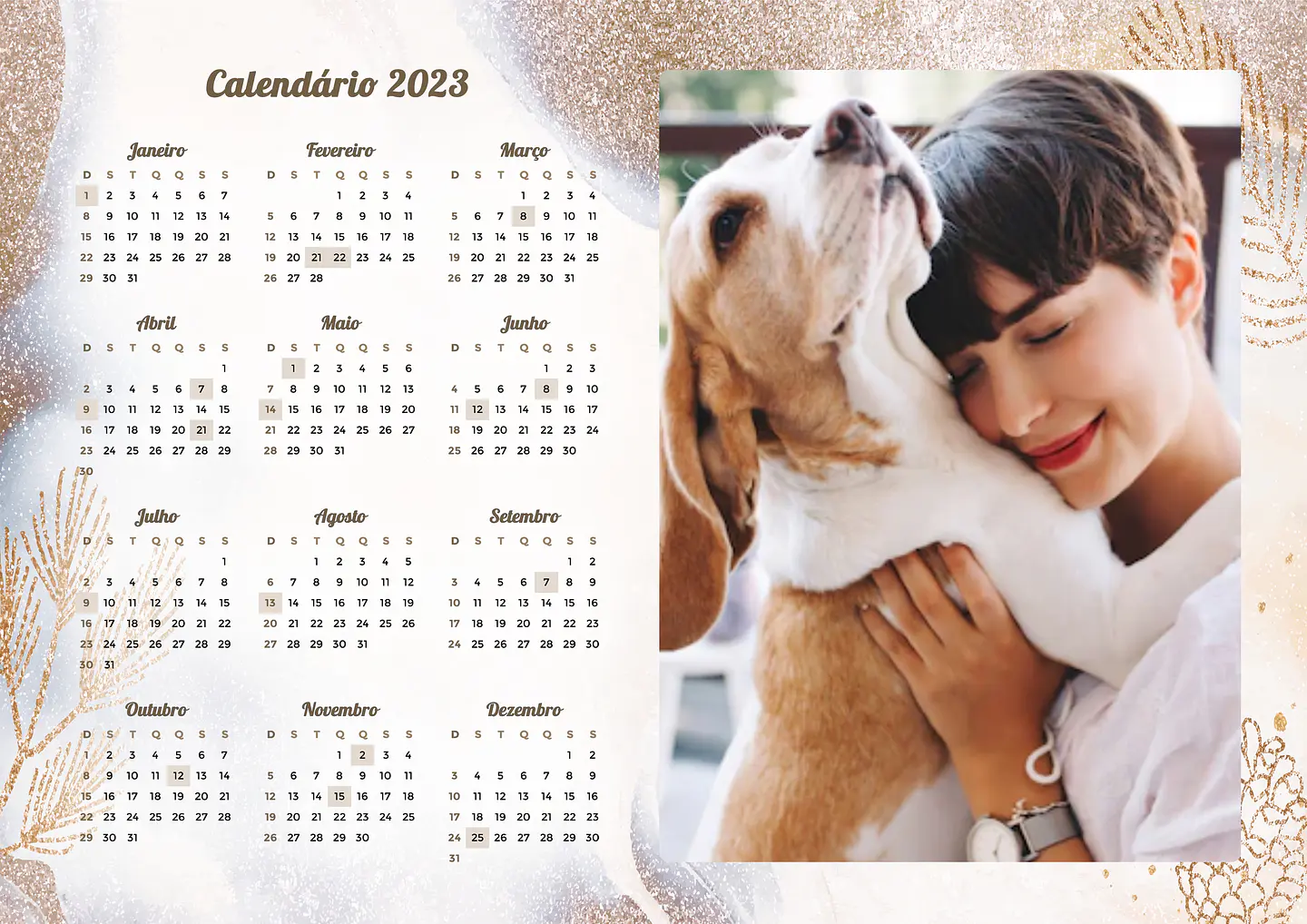 22 Arte Calendários e Polaroide 2023 em Png 15