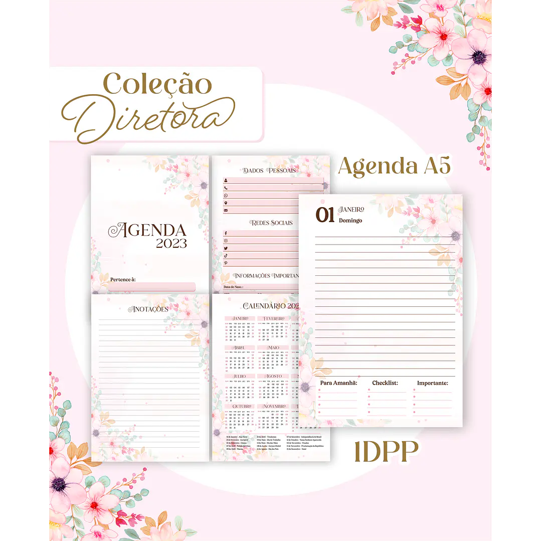 Arquivo Agenda Completo Diretora Escola 2023  10