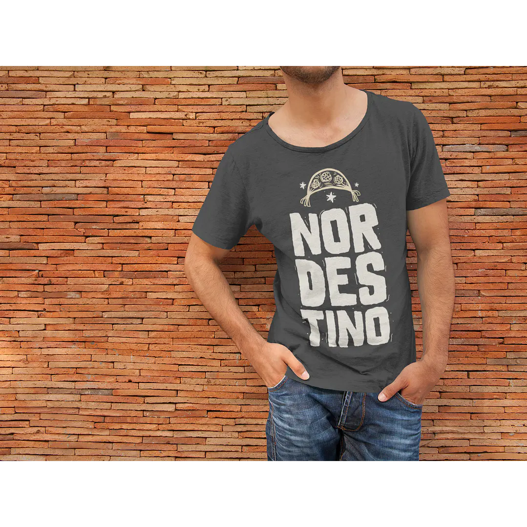 Pack Frases Nordestino Arretado em Png  3