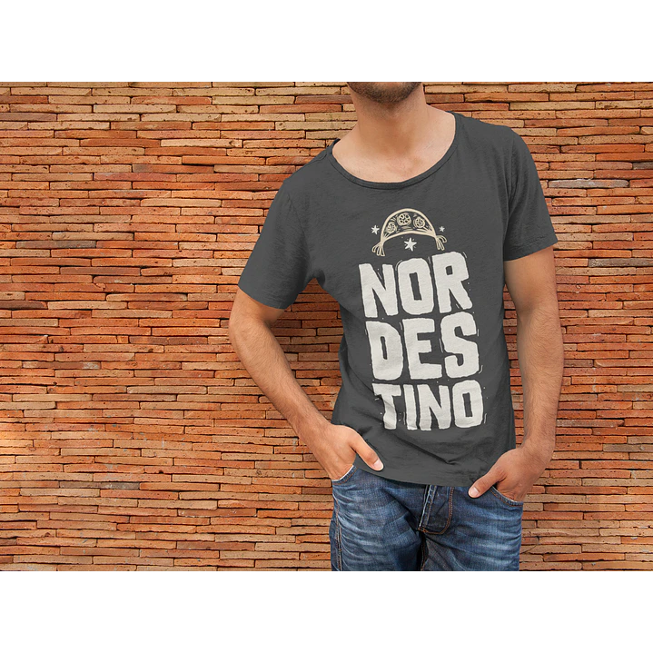 Pack Frases Nordestino Arretado em Png  3
