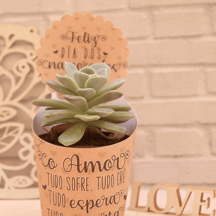 10 Moldes para Suculentas Dia dos Namorados em Jpg 4