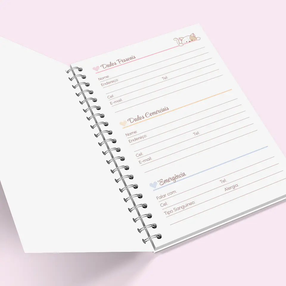 Arquivo Agenda Escolar Gatinho 2024 em Pdf   10