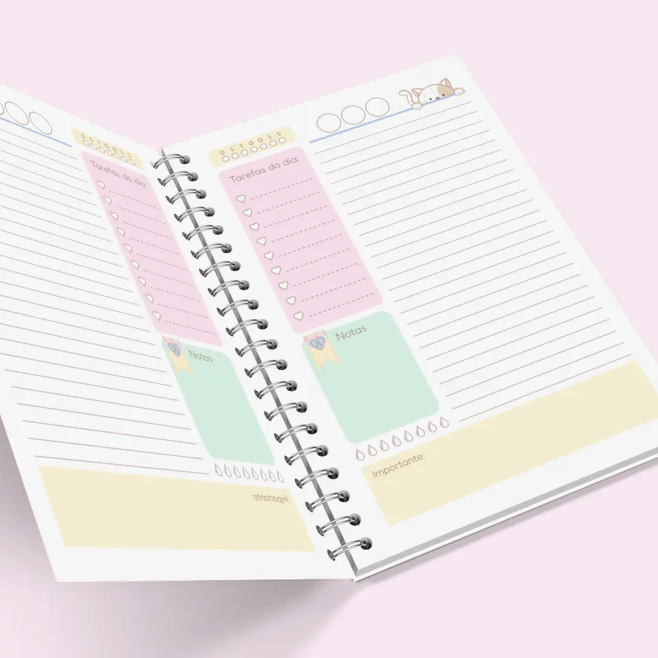 Arquivo Agenda Escolar Gatinho 2024 em Pdf   15