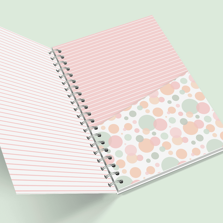 Arquivo Caderno Escolar Sonho e Fé 2024 em Pdf  5