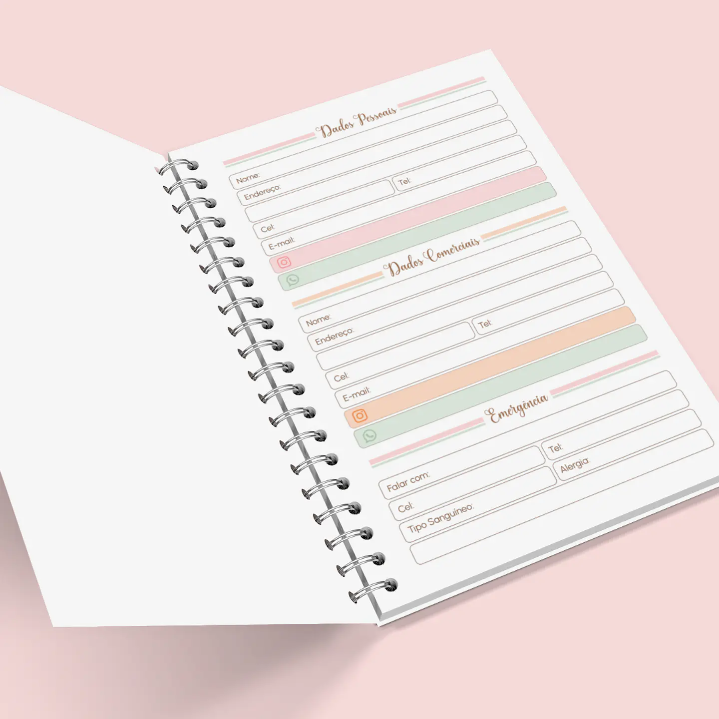 Arquivo Caderno Escolar Sonho e Fé 2024 em Pdf  7