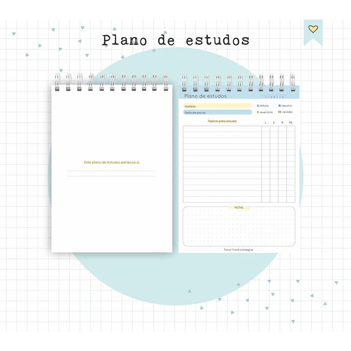 Arquivo Diário de Leituras e Planos de Estudo em Pdf 4