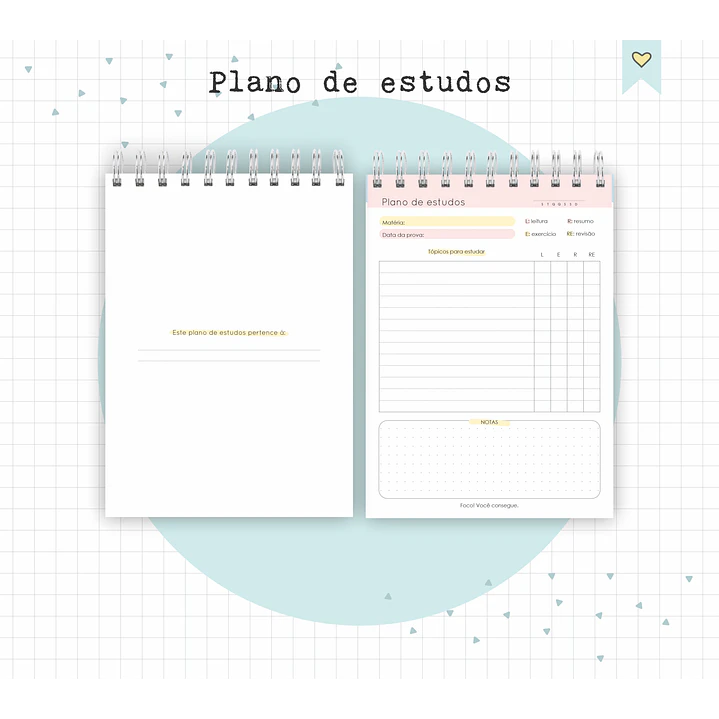 Arquivo Diário de Leituras e Planos de Estudo em Pdf 5