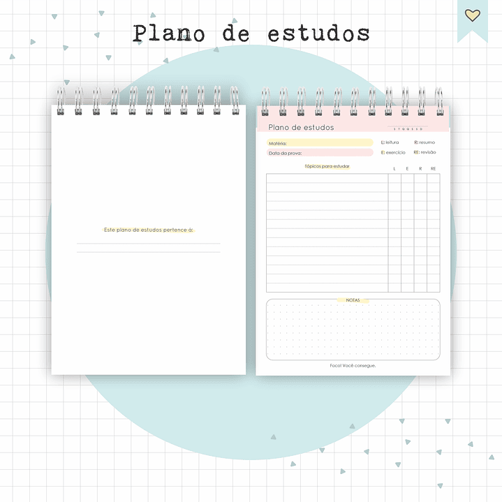 Arquivo Diário de Leituras e Planos de Estudo em Pdf 5