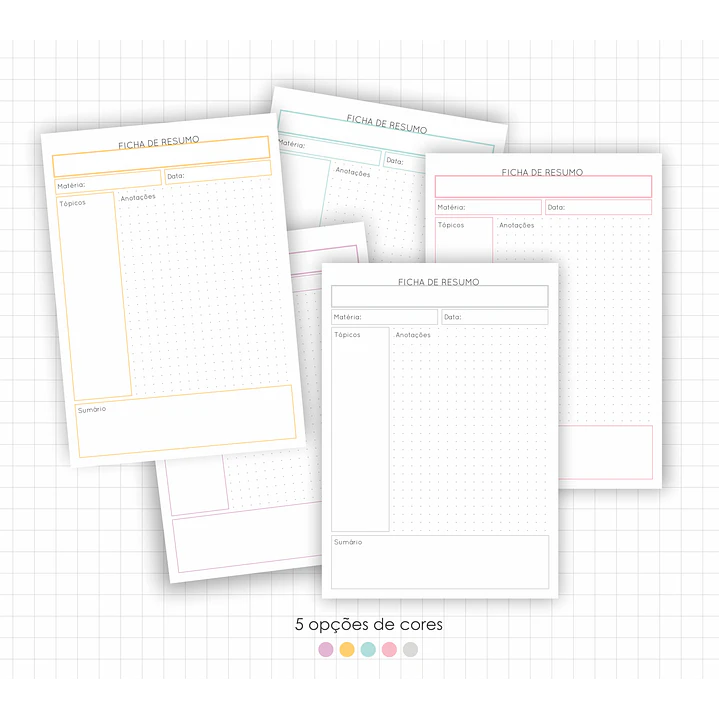 Arquivo Fichas de Estudo e Resumo em Pdf 2
