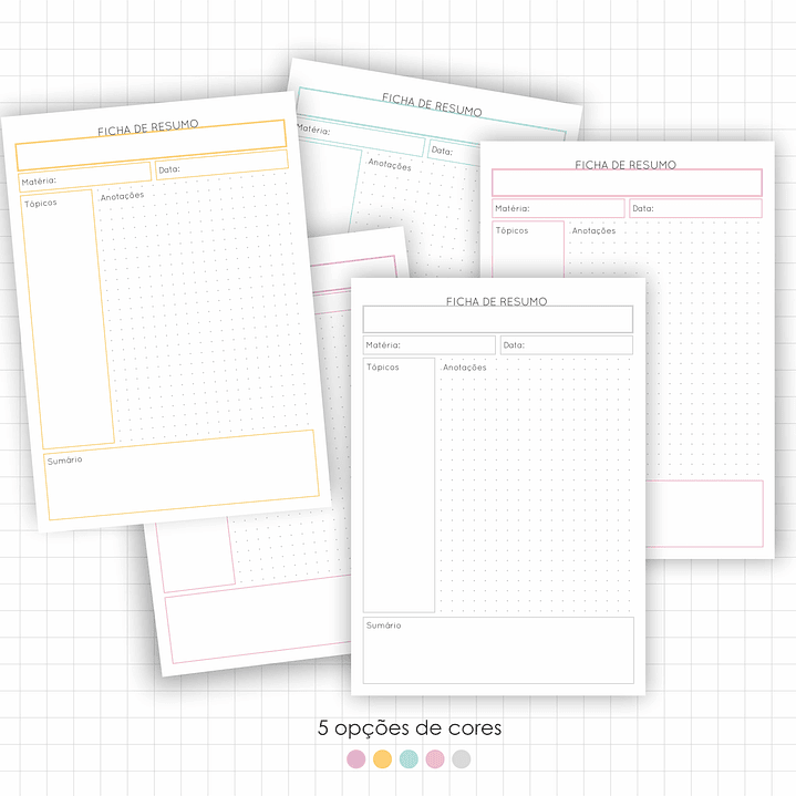 Arquivo Fichas de Estudo e Resumo em Pdf 2