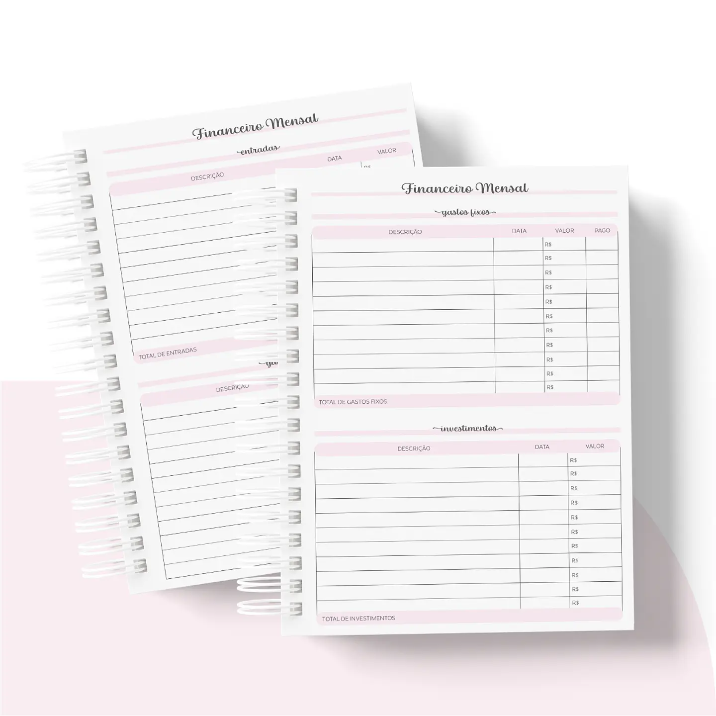 Arquivo Planner Financeiro 2024 em Pdf   8