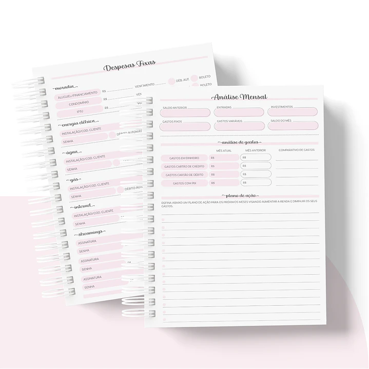 Arquivo Planner Financeiro 2024 em Pdf   9