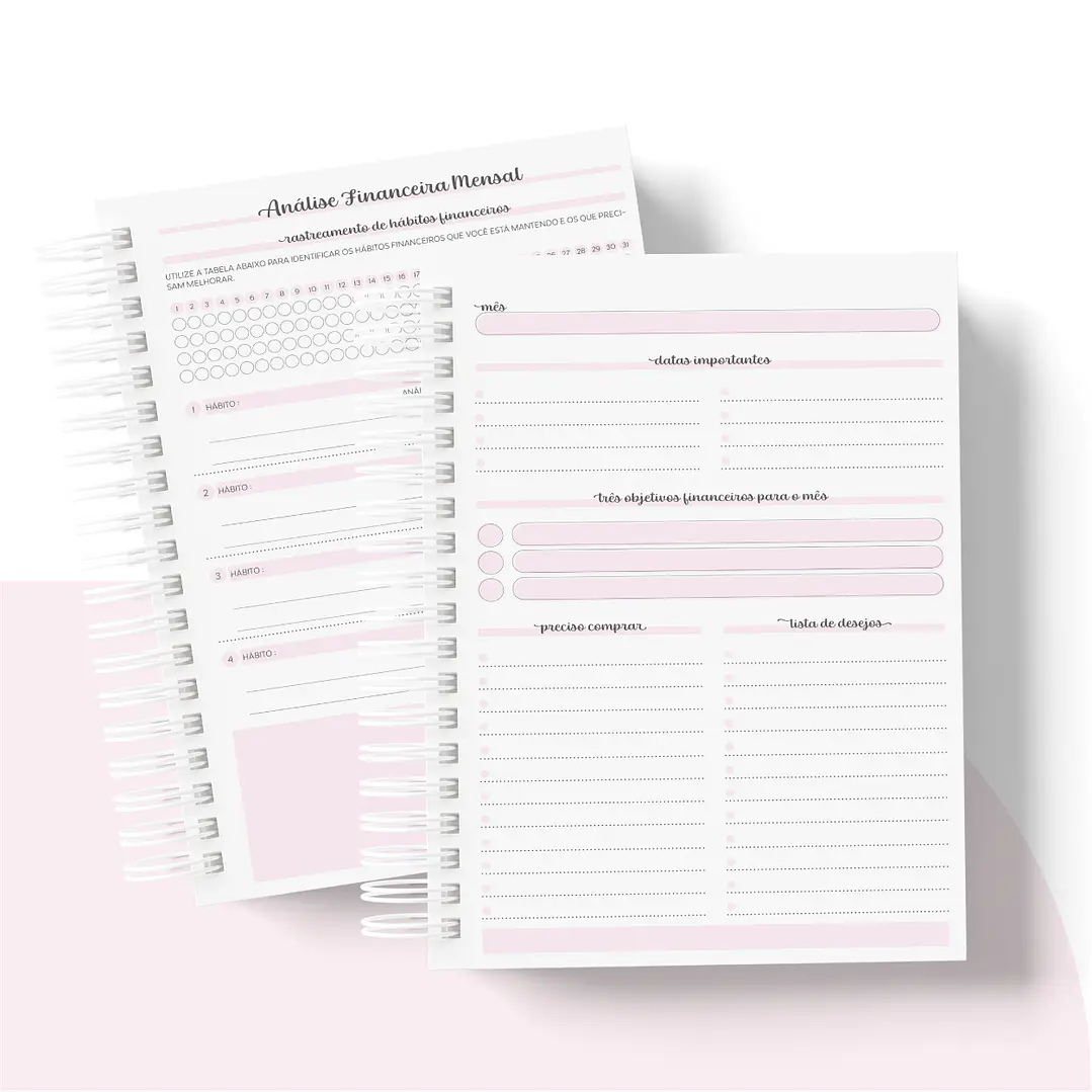 Arquivo Planner Financeiro 2024 em Pdf   10