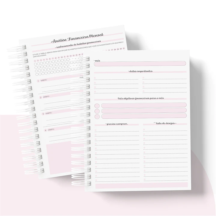 Arquivo Planner Financeiro 2024 em Pdf   10