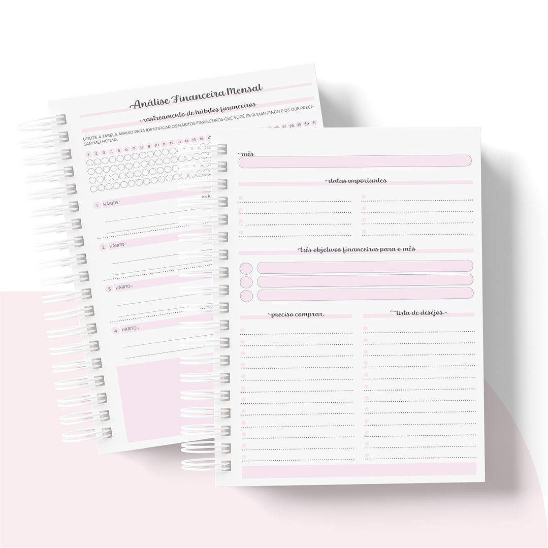 Arquivo Planner Financeiro 2024 em Pdf   10