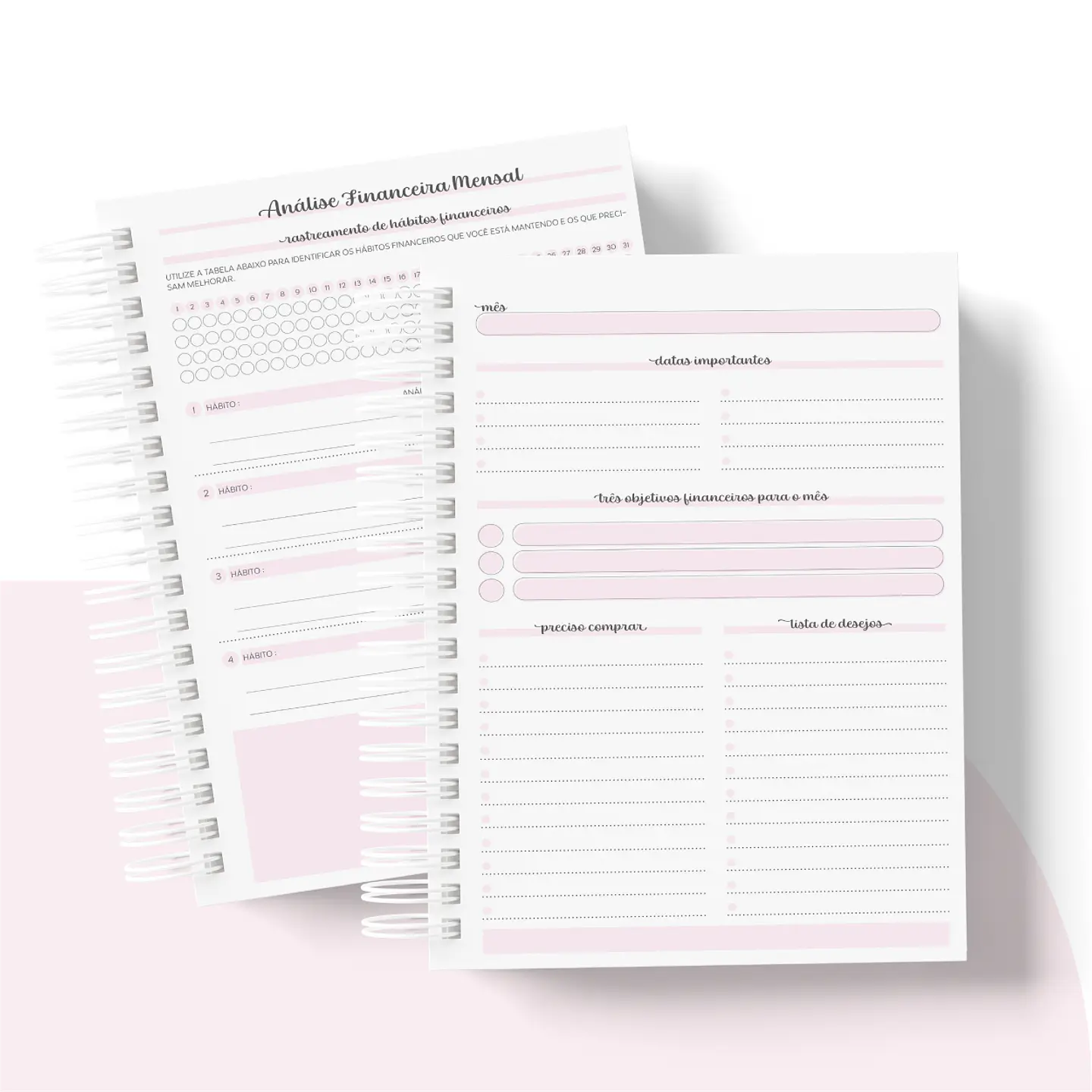 Arquivo Planner Financeiro 2024 em Pdf   10