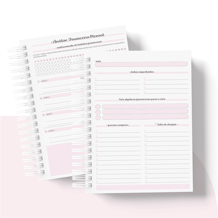 Arquivo Planner Financeiro 2024 em Pdf   10