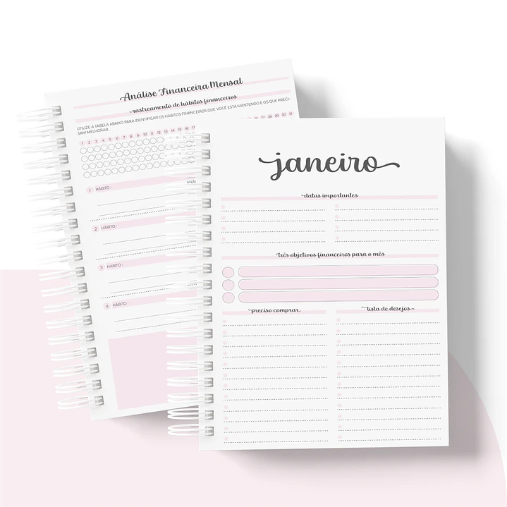 Arquivo Planner Financeiro 2024 em Pdf   12