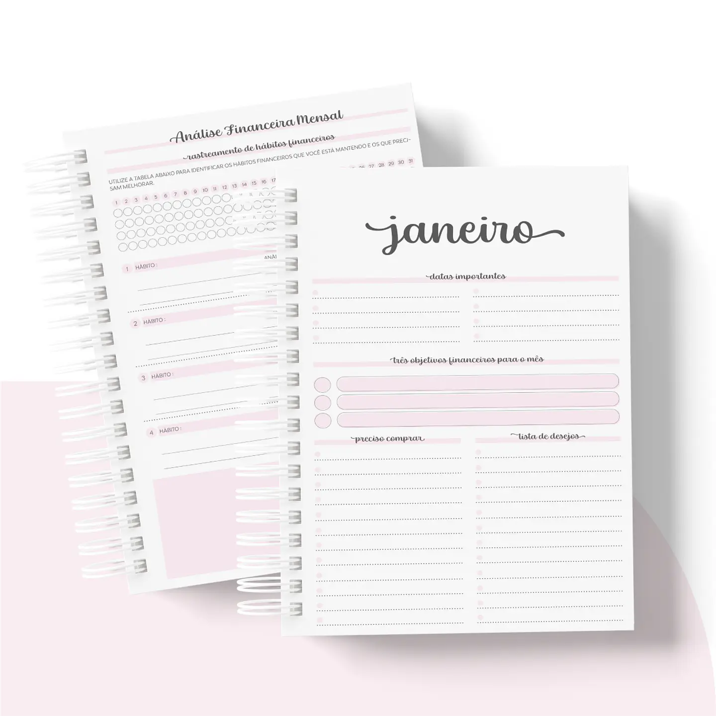 Arquivo Planner Financeiro 2024 em Pdf   12