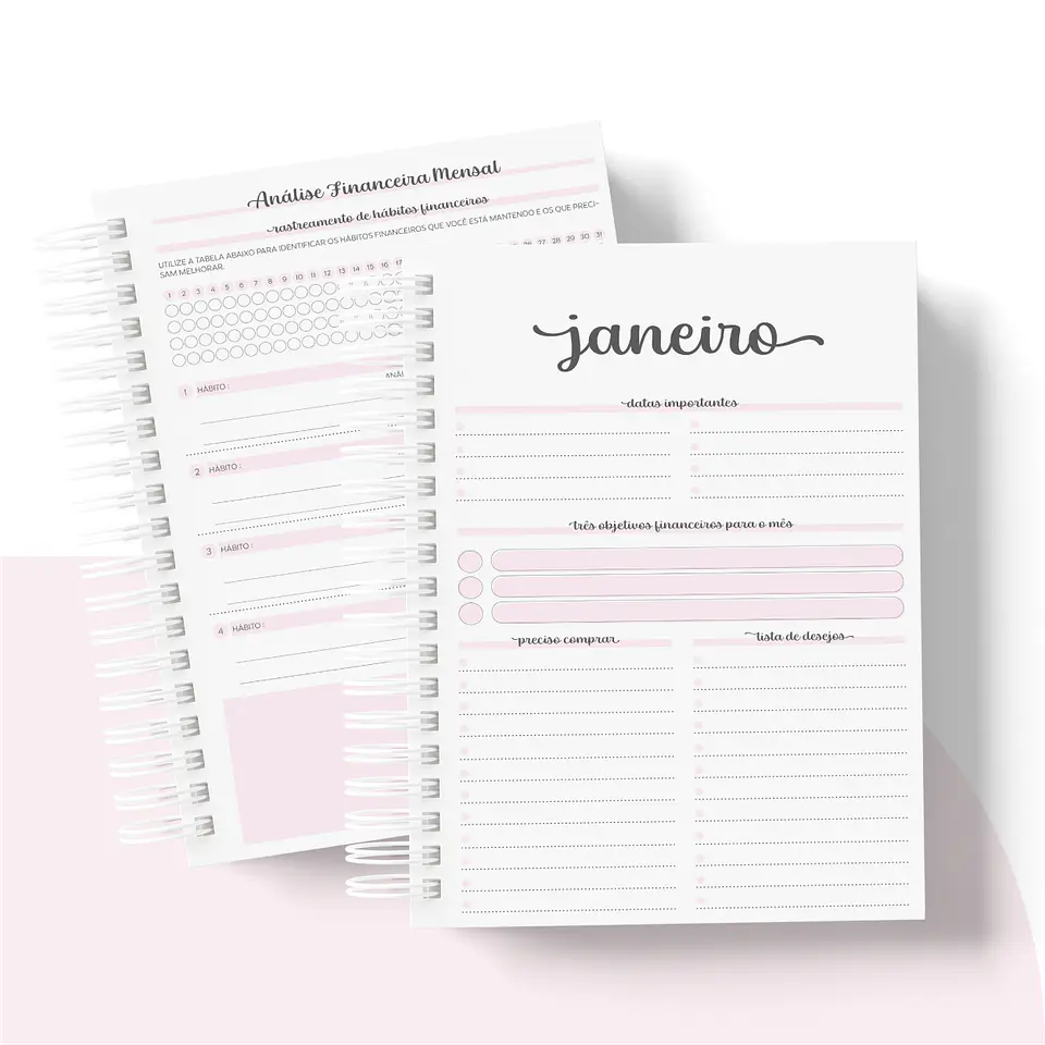 Arquivo Planner Financeiro 2024 em Pdf   12