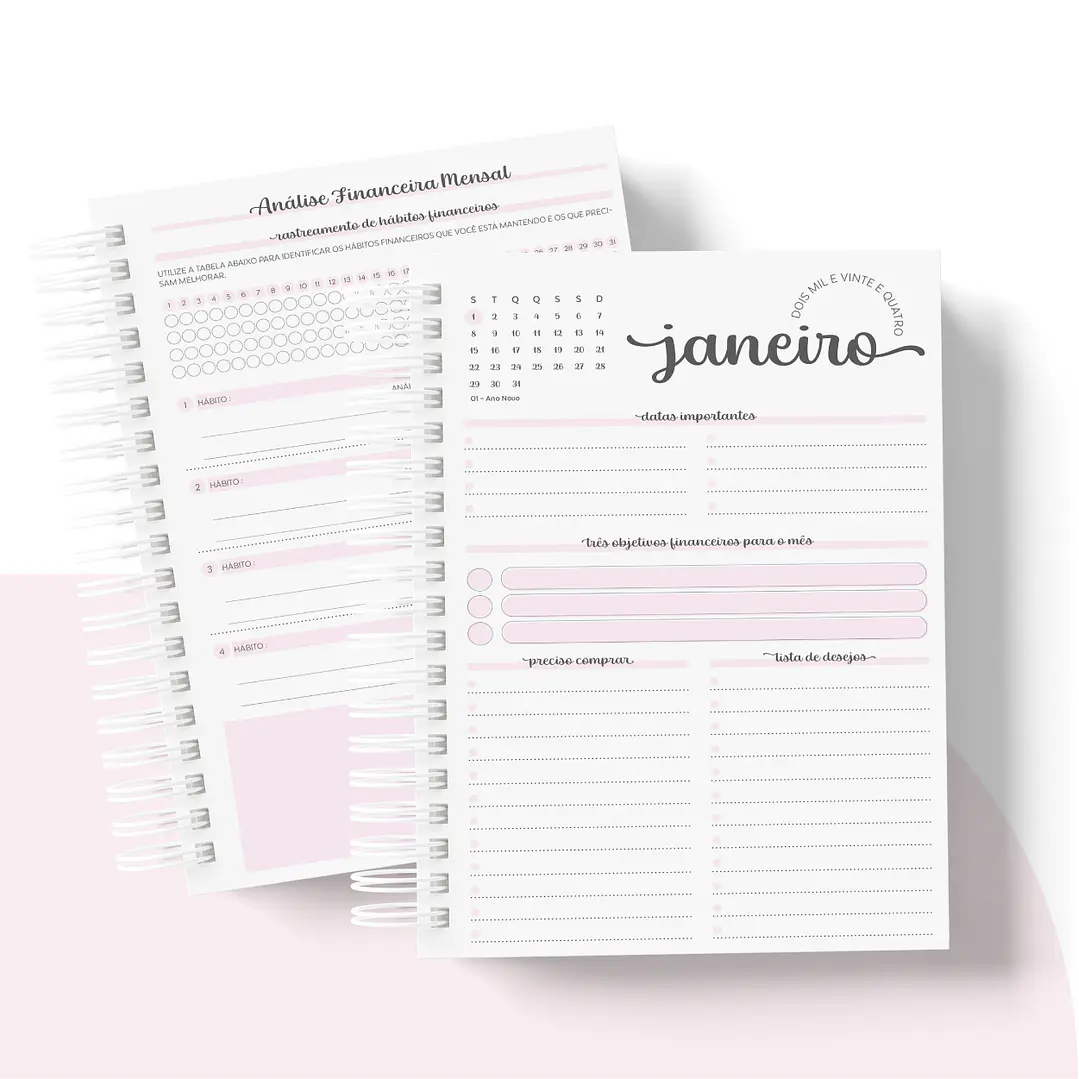 Arquivo Planner Financeiro 2024 em Pdf   14