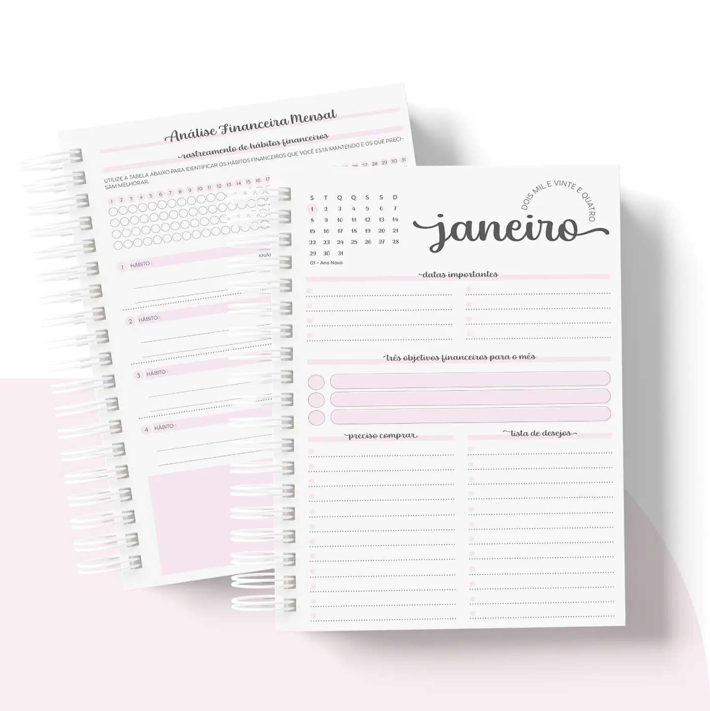 Arquivo Planner Financeiro 2024 em Pdf   14