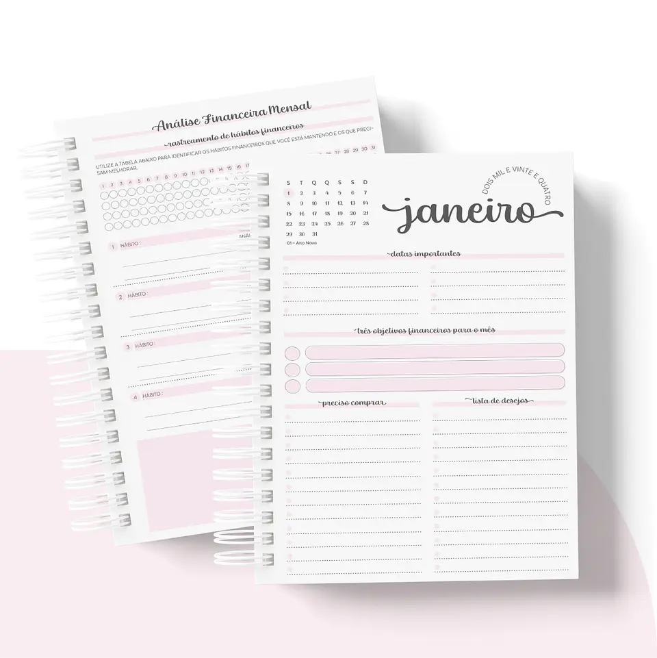 Arquivo Planner Financeiro 2024 em Pdf   14
