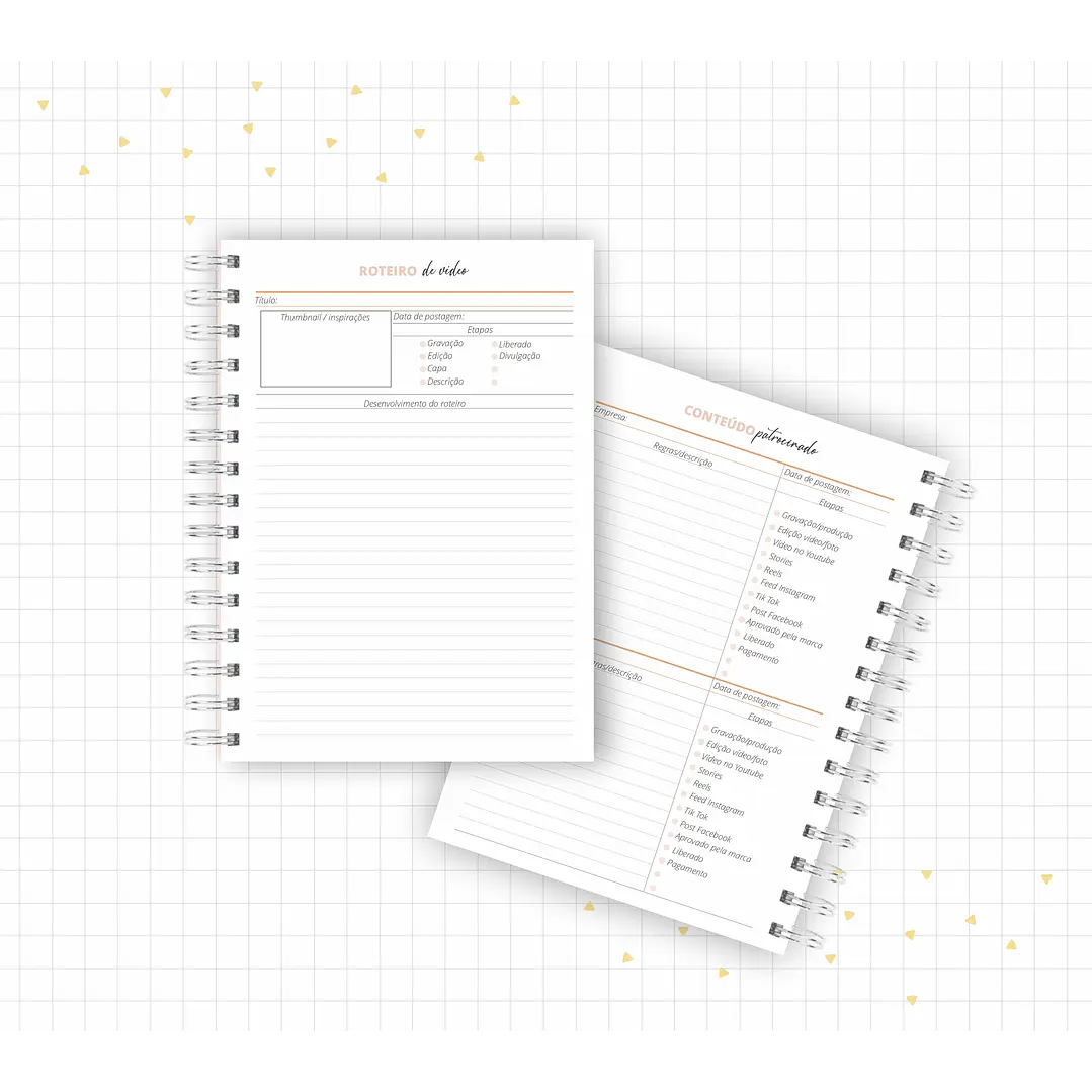 Arquivo Planner Youtuber e Minhas Postagens 2024 em Pdf  5