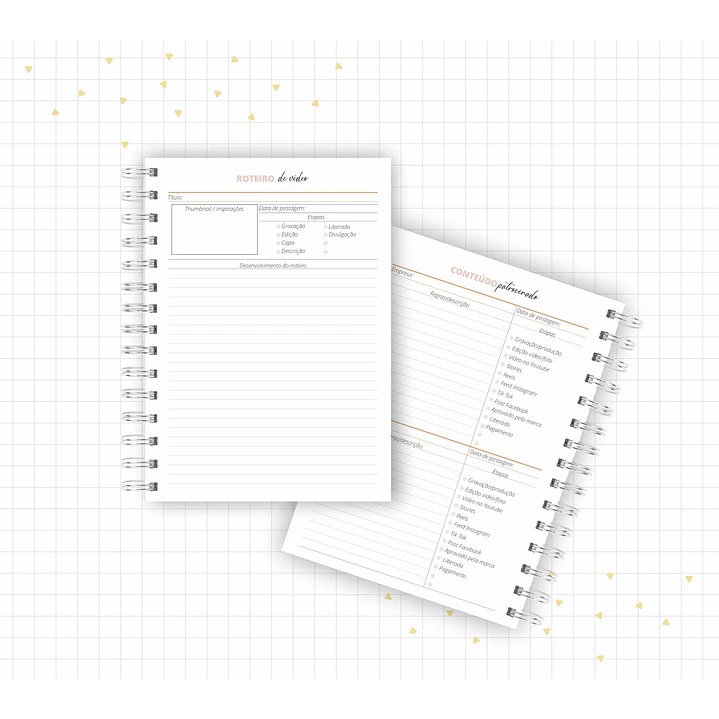 Arquivo Planner Youtuber e Minhas Postagens 2024 em Pdf  5