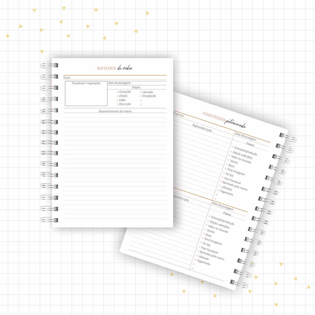 Arquivo Planner Youtuber e Minhas Postagens 2024 em Pdf  5