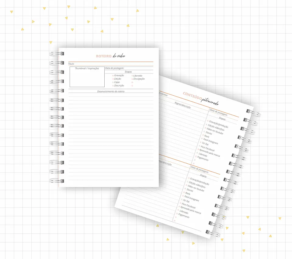Arquivo Planner Youtuber e Minhas Postagens 2024 em Pdf  5