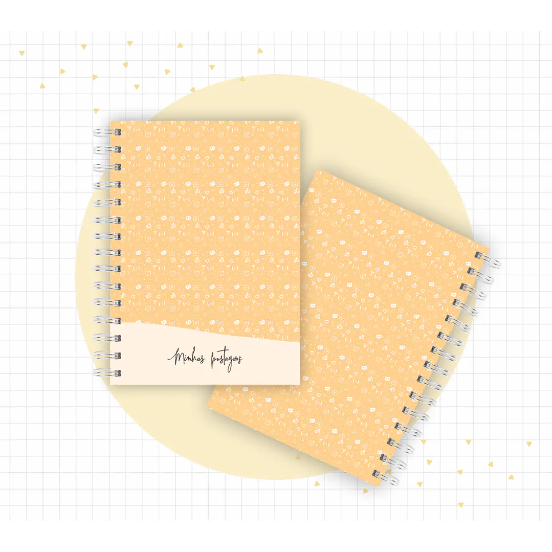 Arquivo Planner Youtuber e Minhas Postagens 2024 em Pdf  2