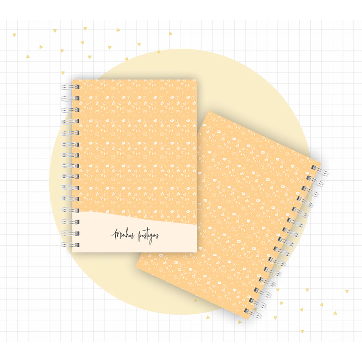 Arquivo Planner Youtuber e Minhas Postagens 2024 em Pdf  2